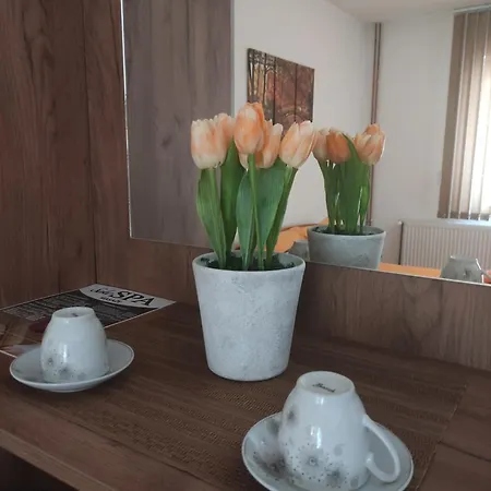 Cair Doplata Za Bazen Aparthotel Sokobanja