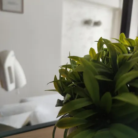 Cair Doplata Za Bazen Soko Banja